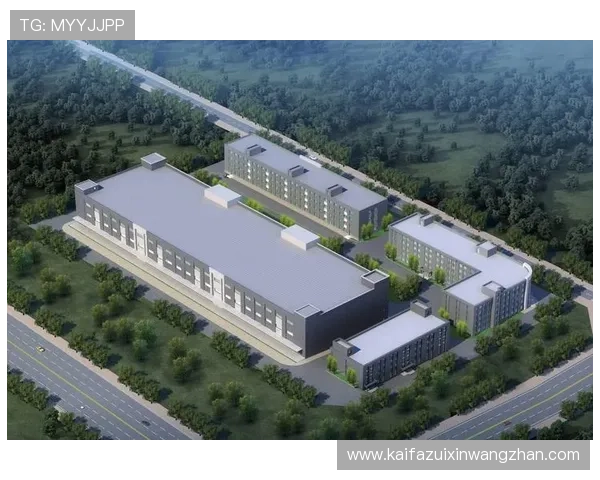 K8凯发集团娱乐平台的安全保障体系详解确保玩家资金与信息安全