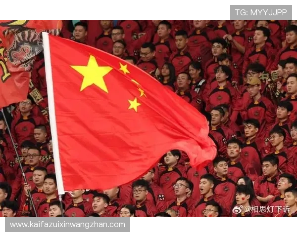 中国足球世界杯预选赛历史回顾与未来展望为球迷提供全面信息